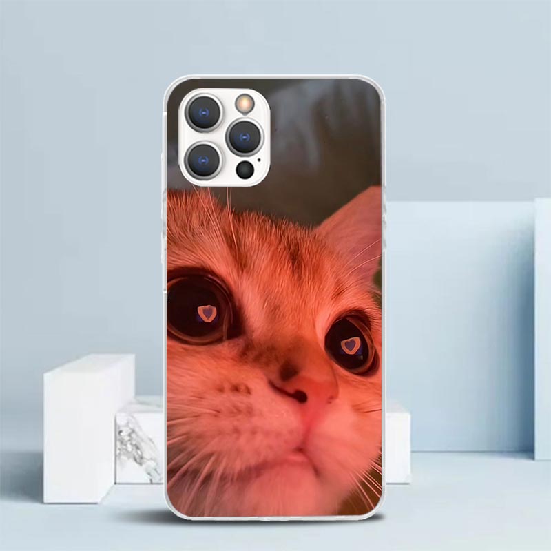 Cover Morbida con Memes Divert - Phone Cases That Fit Iphone 16E recensione e prezzo