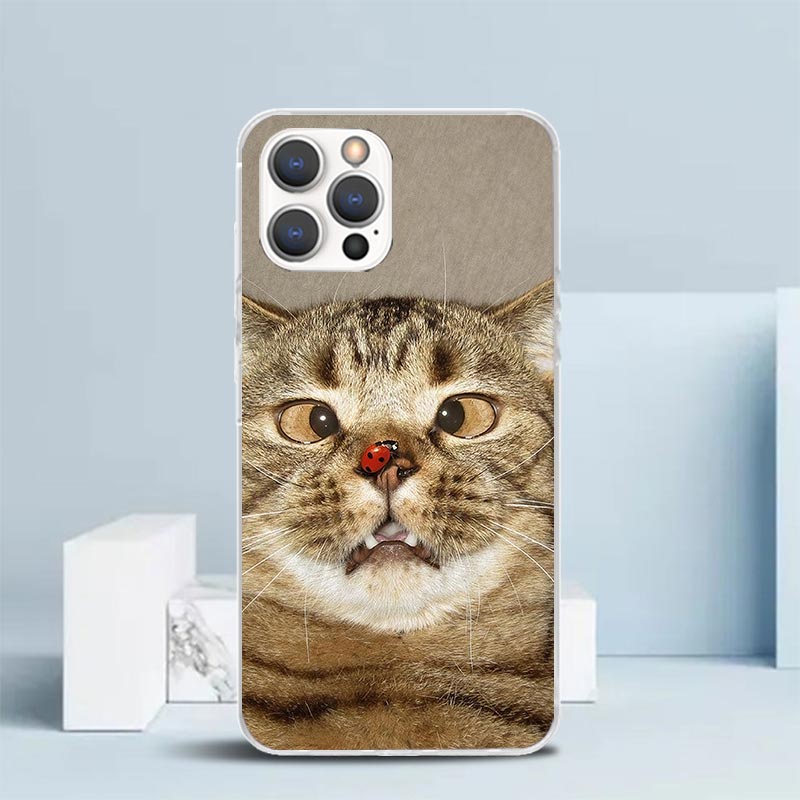Cover Morbida con Memes Divert - Phone Cases That Fit Iphone 16E recensione e prezzo