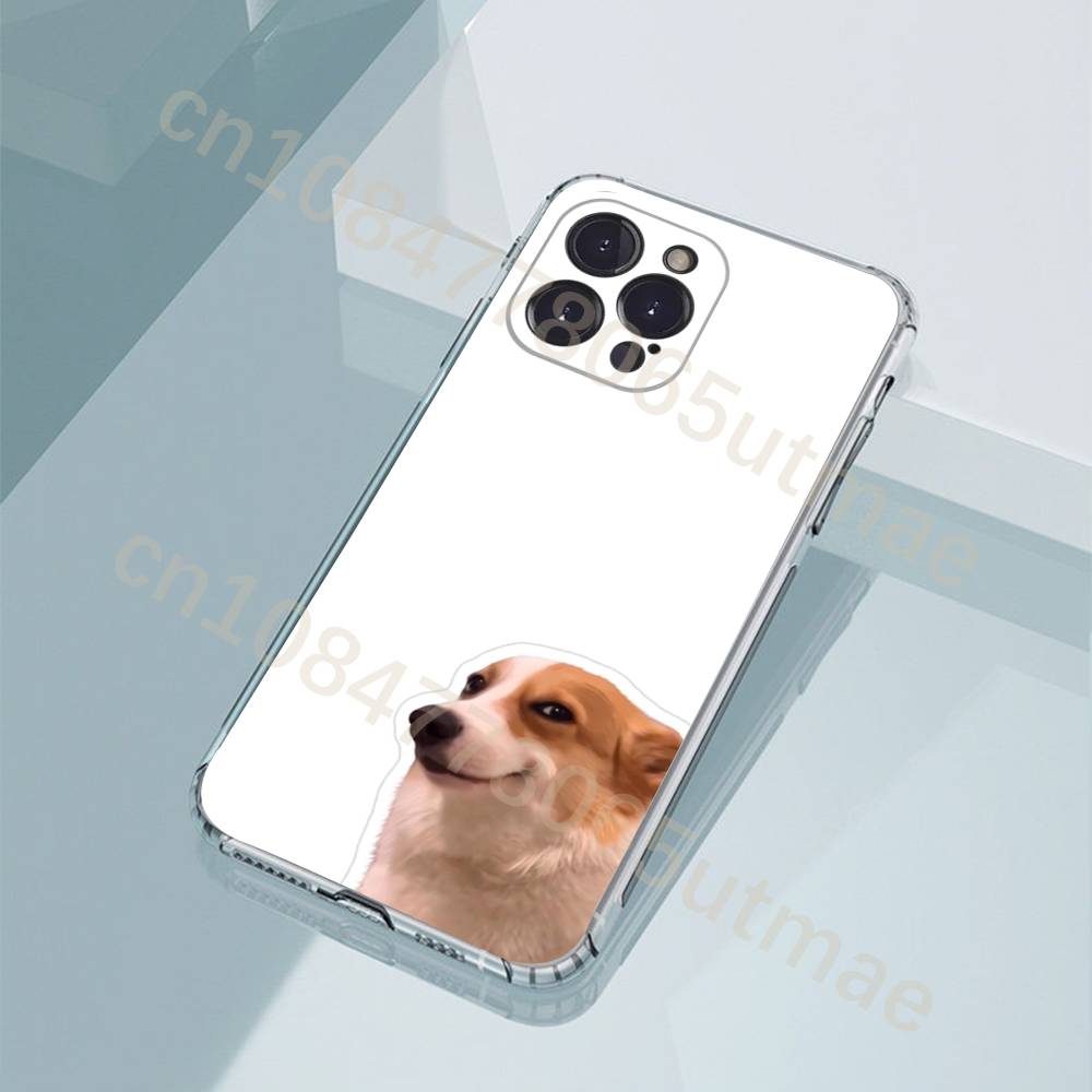 Custodia Virale per iPhone 17, - Phone Cases Viral recensione e prezzo