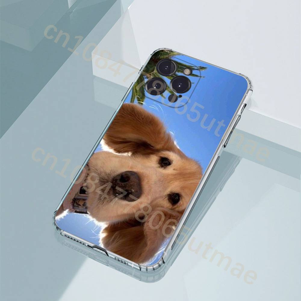 Custodia Virale per iPhone 17, - Phone Cases Viral recensione e prezzo